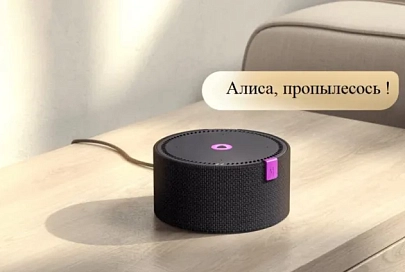 Как подключить робот-пылесос Trouver к Алисе